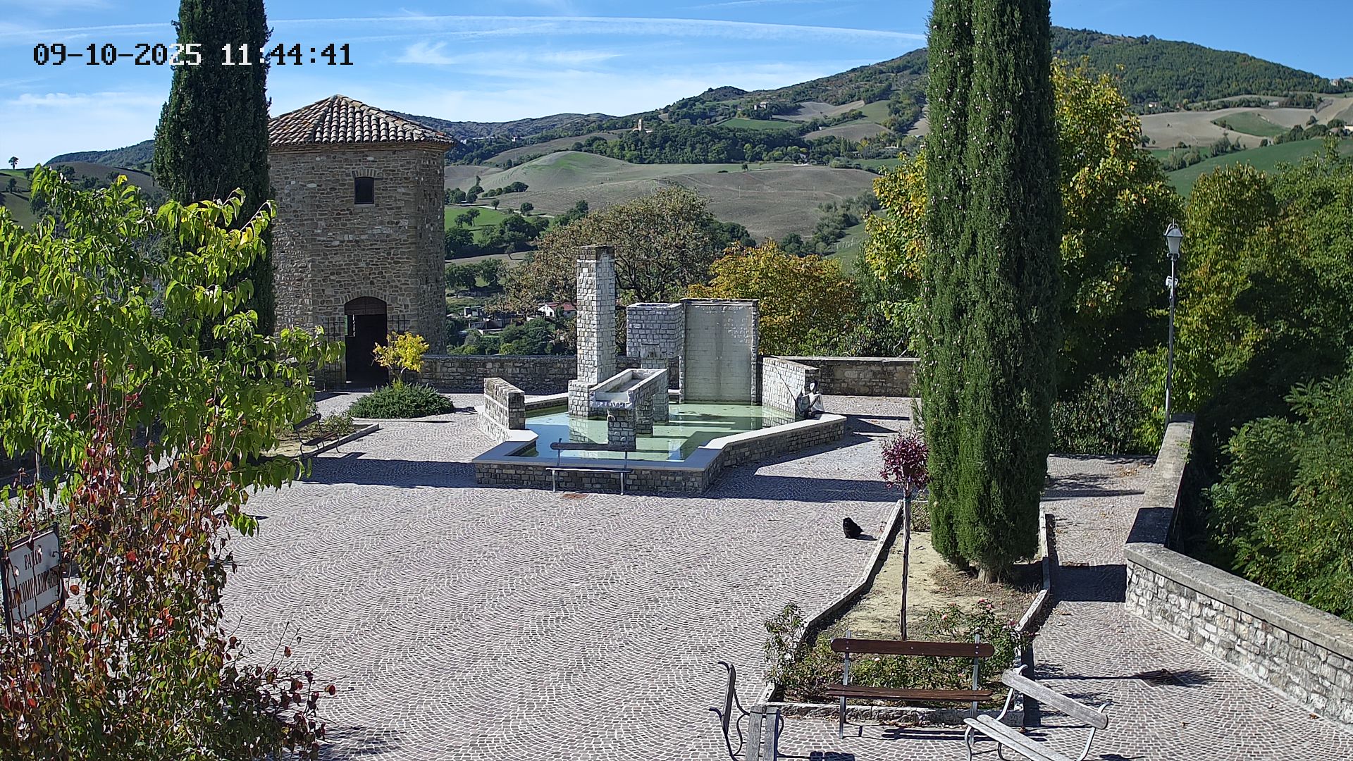 Camera Live Image